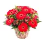 Canastillo de 10 Gerberas Rojas