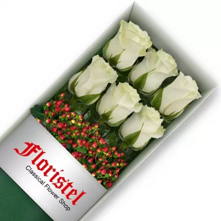 Caja de 6 Rosas Blancas