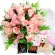 RAMO 24 ROSAS ROSADAS MAS CHOCOLATE GRAGEA VARSOVIENNE Y PELUCHE