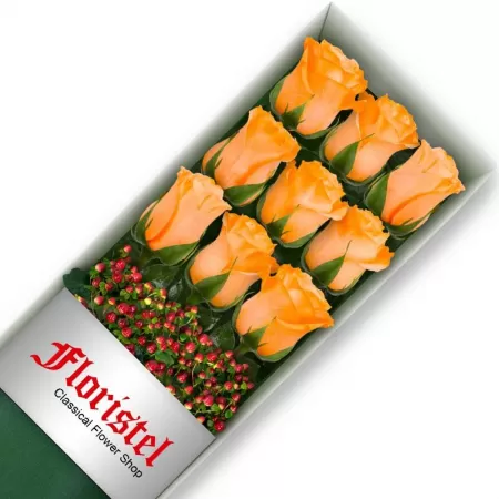 Caja de 9 Rosas Damasco