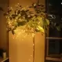 Guirnalda de cuerdas Led con alambre de cobre, iluminación con batería para Navidad, dormitorio y decoración para fiesta de boda