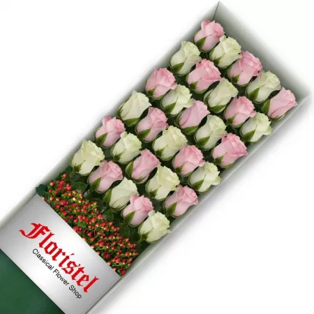 Cajas de 30 Rosas MIx Blancas y Rosadas