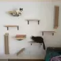 Plataformas de salto para gatos