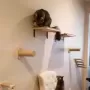 Plataformas de salto para gatos