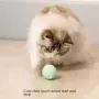 Crazy Ball-juguete interactivo para gatos