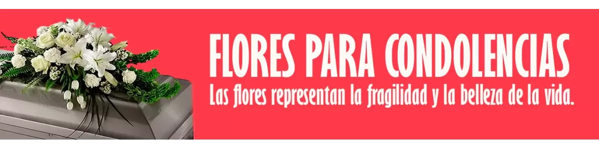 🌼 Arreglos de Flores Condolencias en Santiago, Flores para acompañarte en este difícil momento. 🌺🌼