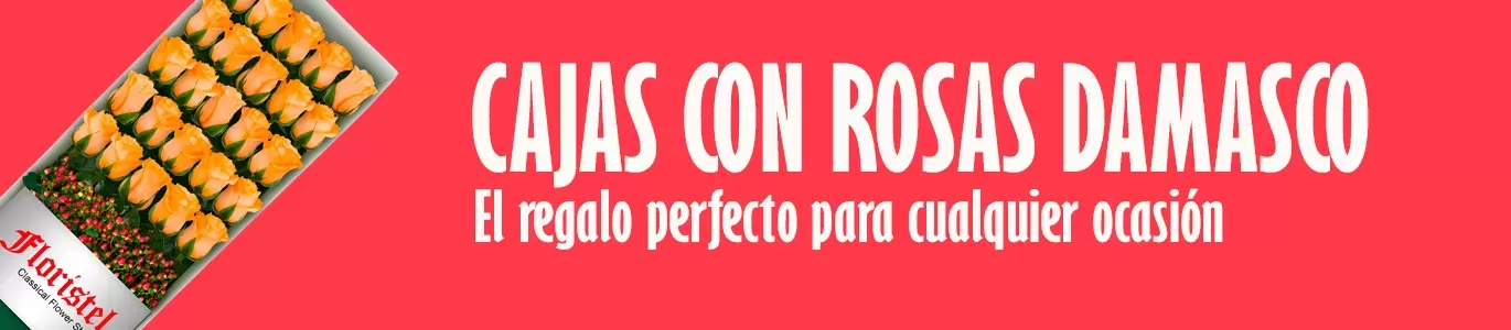 🌹🎁 Regala encantadoras cajas de rosas Damasco. Perfectas para expresar amor y emociones. 🌹💝 ¡Sorprende a tus seres queridos! 🎁✨