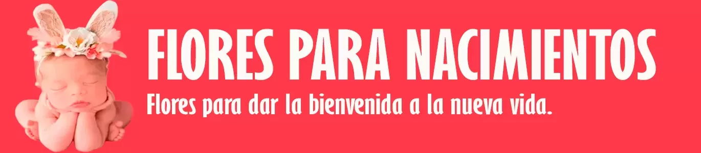 🌸🎁 ¡Regala arreglos florales para celebrar nacimientos! 🌼👶 Encuentra hermosos diseños con flores frescas y colores vibrantes. ¡Sorprende con alegría! 🌺🎉