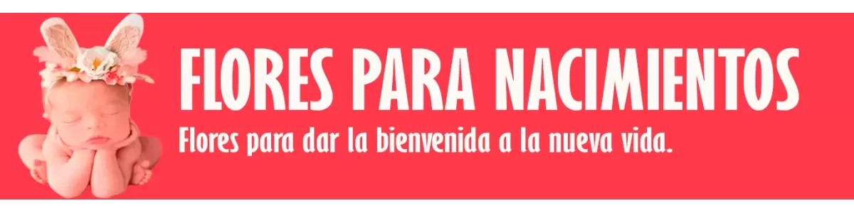 🌸🎁 ¡Regala arreglos florales para celebrar nacimientos! 🌼👶 Encuentra hermosos diseños con flores frescas y colores vibrantes. ¡Sorprende con alegría! 🌺🎉