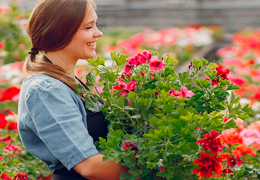 🌸 El Significado de las Flores: Descifra el Lenguaje de las Flores 🌼🌹